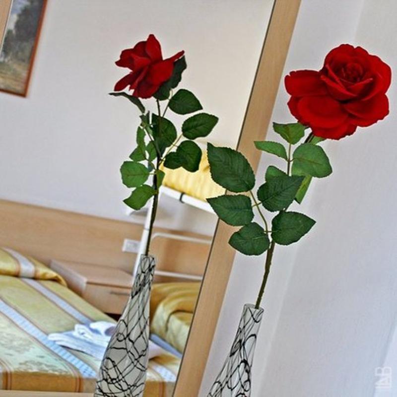 Hotel New Primula Rimini Ngoại thất bức ảnh